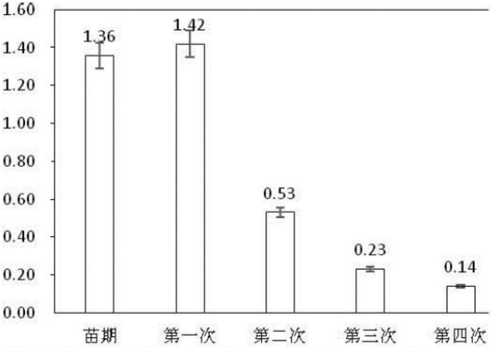 Method for restoring soil heavy metal cadmium pollution by use of herba cichorii