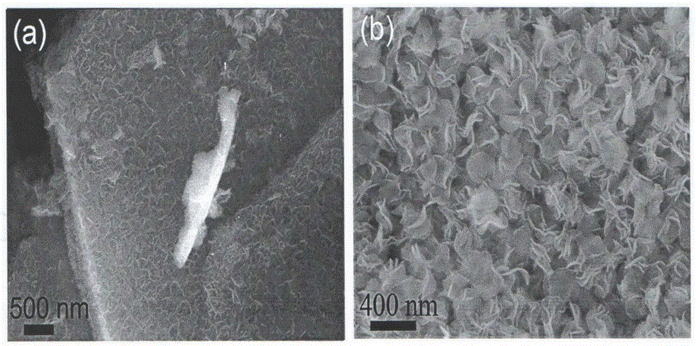 Preparation method and application of flaky zinc-silicon layered double hydroxides photocatalyst