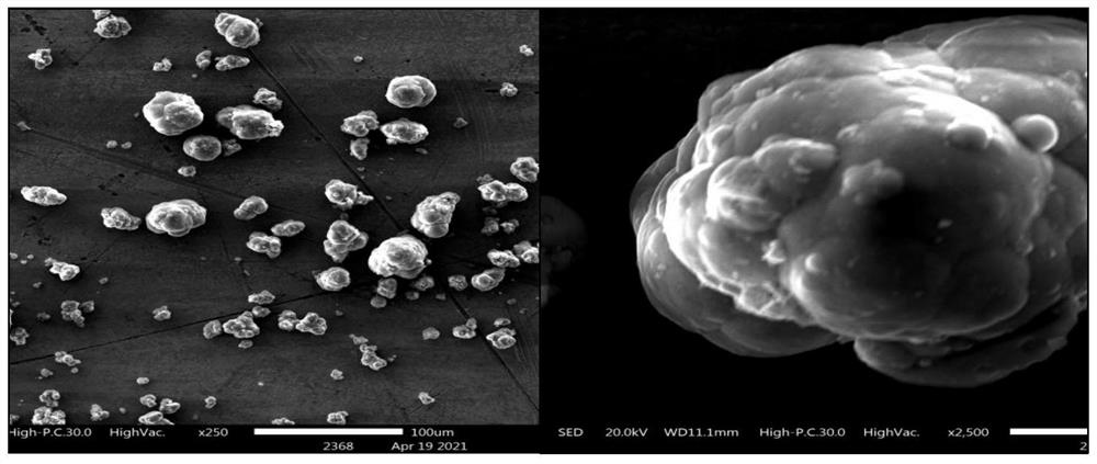 Method for synthesizing strip-shaped ferrous oxalate from hematite slag in one pot