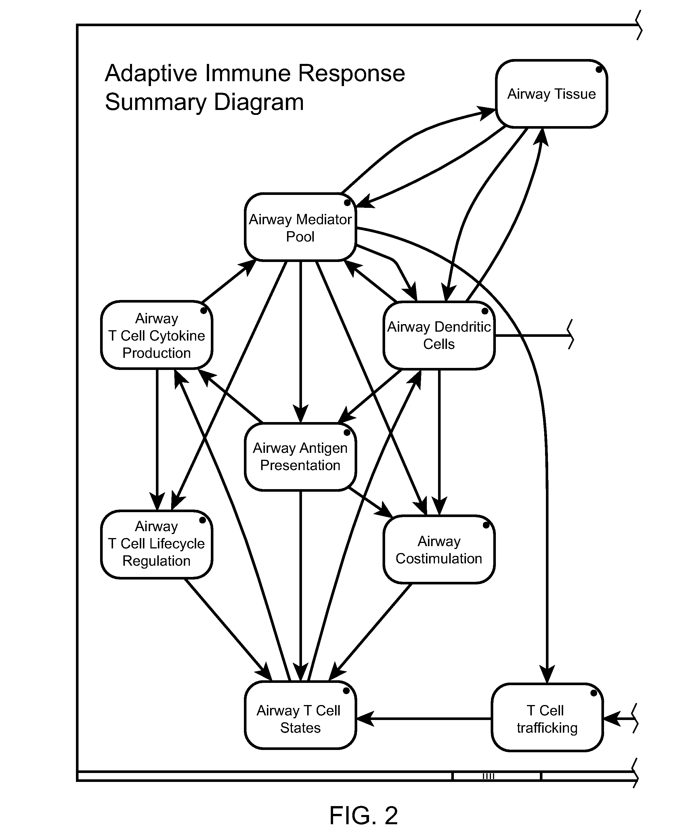 Method and Apparatus for Computer Modeling of an Adaptive Immune Response