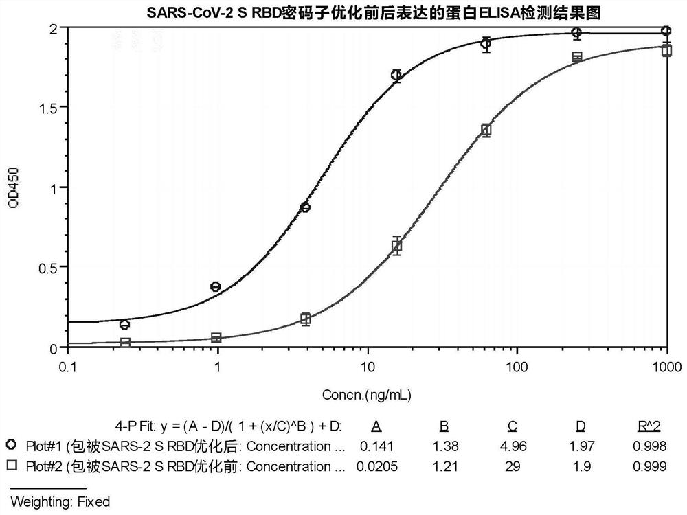 A SARS-CoV-2 virus S protein receptor binding region encoding gene, antibody and application