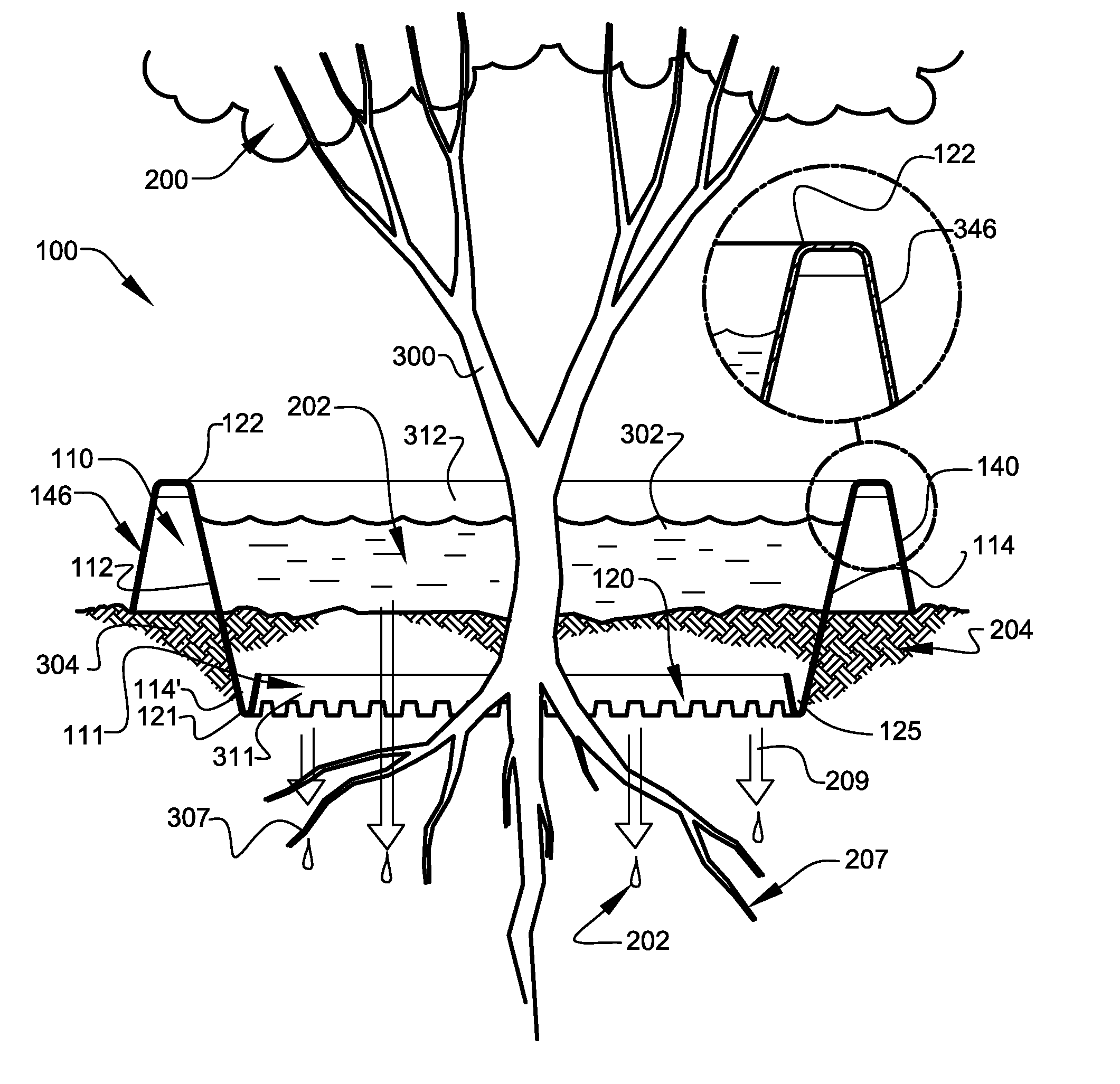 Tree and plant watering systems