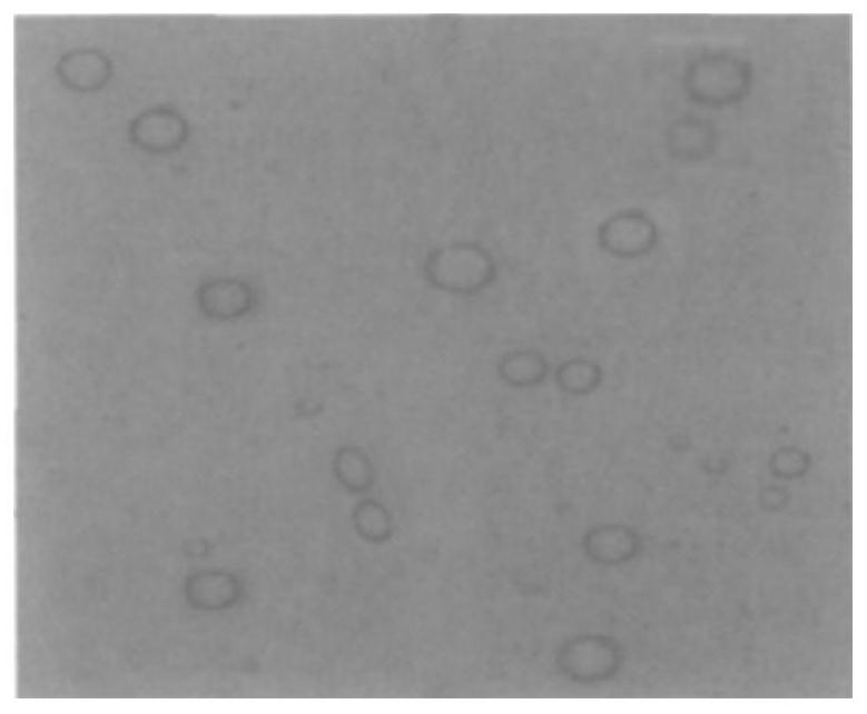 A preparation method of drug-loaded nanofiber nerve guide