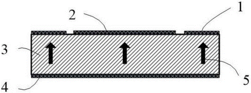 Piezoelectric transformer based on single crystal surface cutting mode