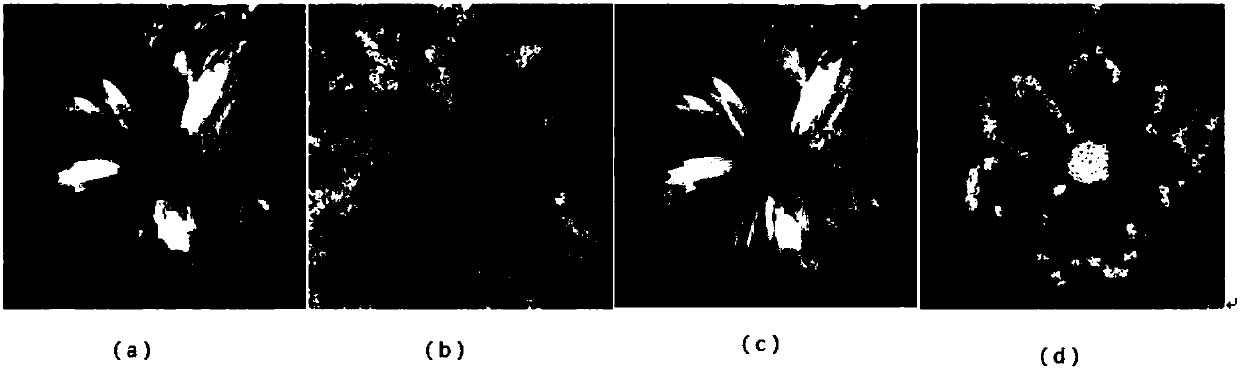 Light field foreground segmentation method and device based on K-means clustering
