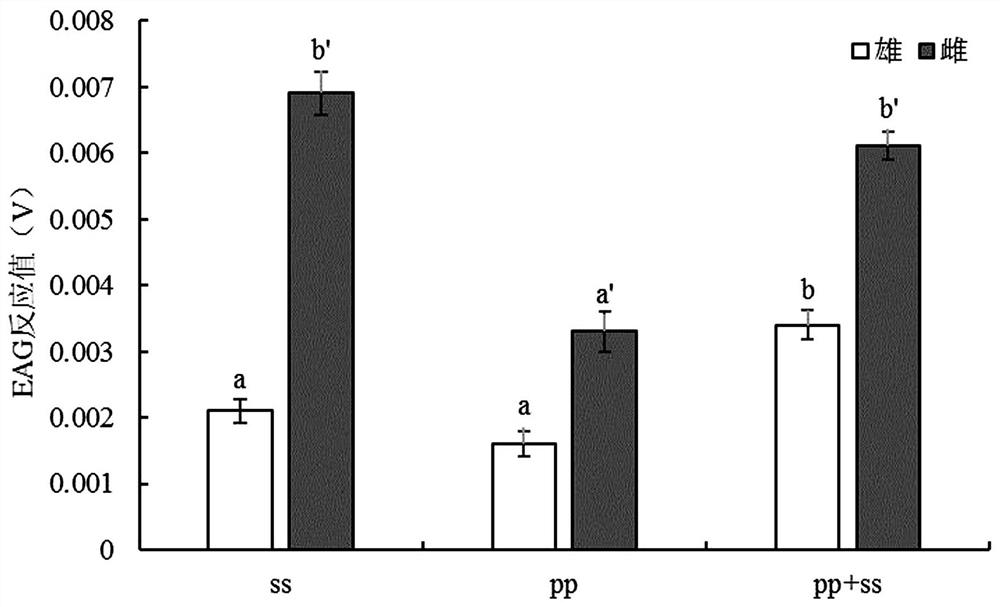 A kind of special attractant and control method for preventing and treating small pear borer