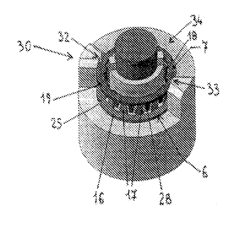 Magnetic flux collector for a torque detection device