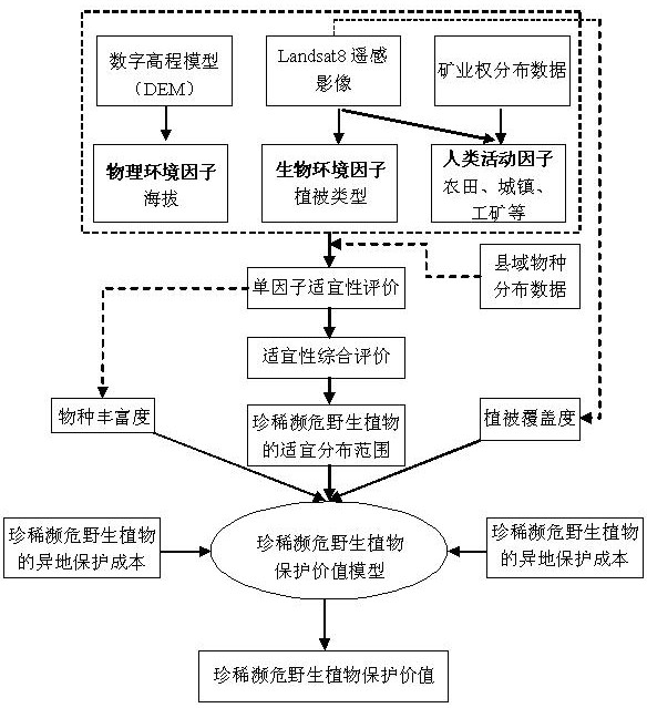 Rare and endangered wild plant protection value calculation method based on remote sensing technology