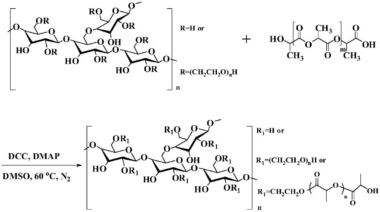 A kind of amphiphilic hydroxyethyl starch coupled polylactic acid copolymer and its preparation method and application