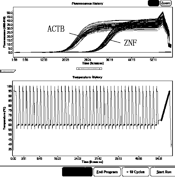 siRNA for interfering with ZNF24 gene expression and application to inhibition of cell proliferation and migration thereof