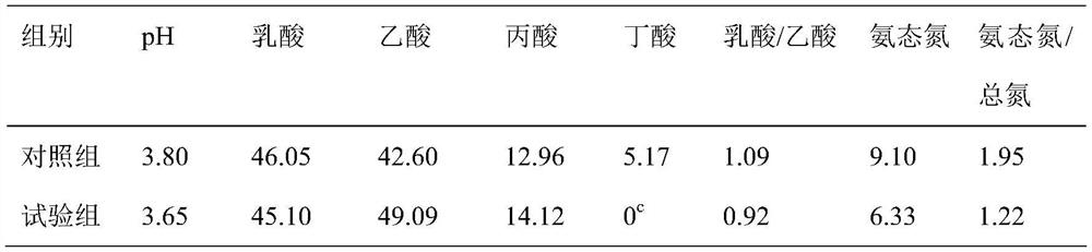 A kind of lactic acid bacteria combination preparation for sugarcane tail leaf silage and its application