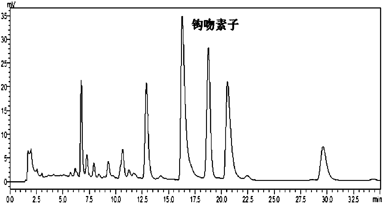 Method for separating and preparing gelsemium alkaloid from gelsemium elegans benth by virtue of ion exchange method