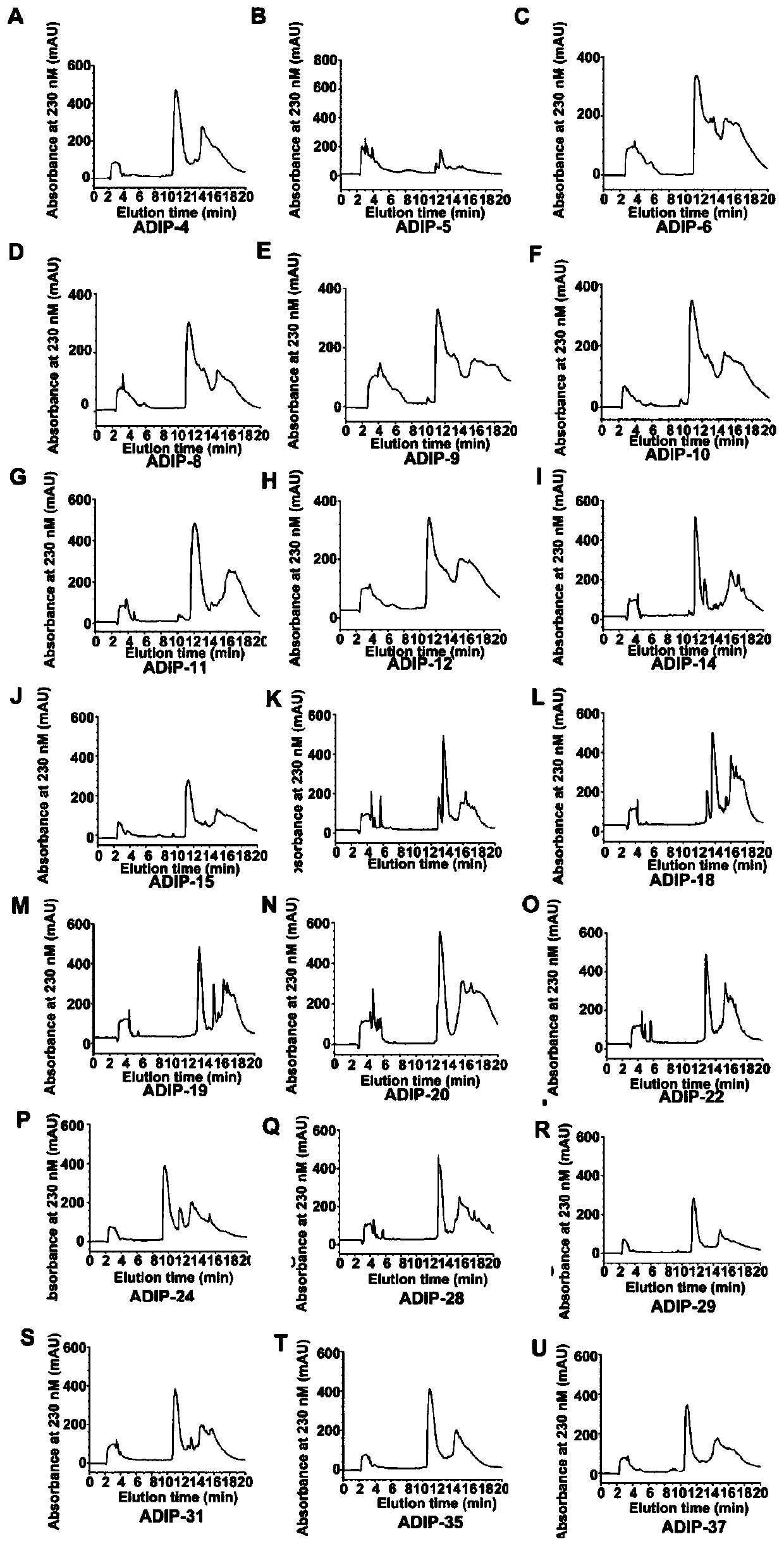 Immunosuppressive polypeptide designed by acidic amino acid scanning method and application thereof