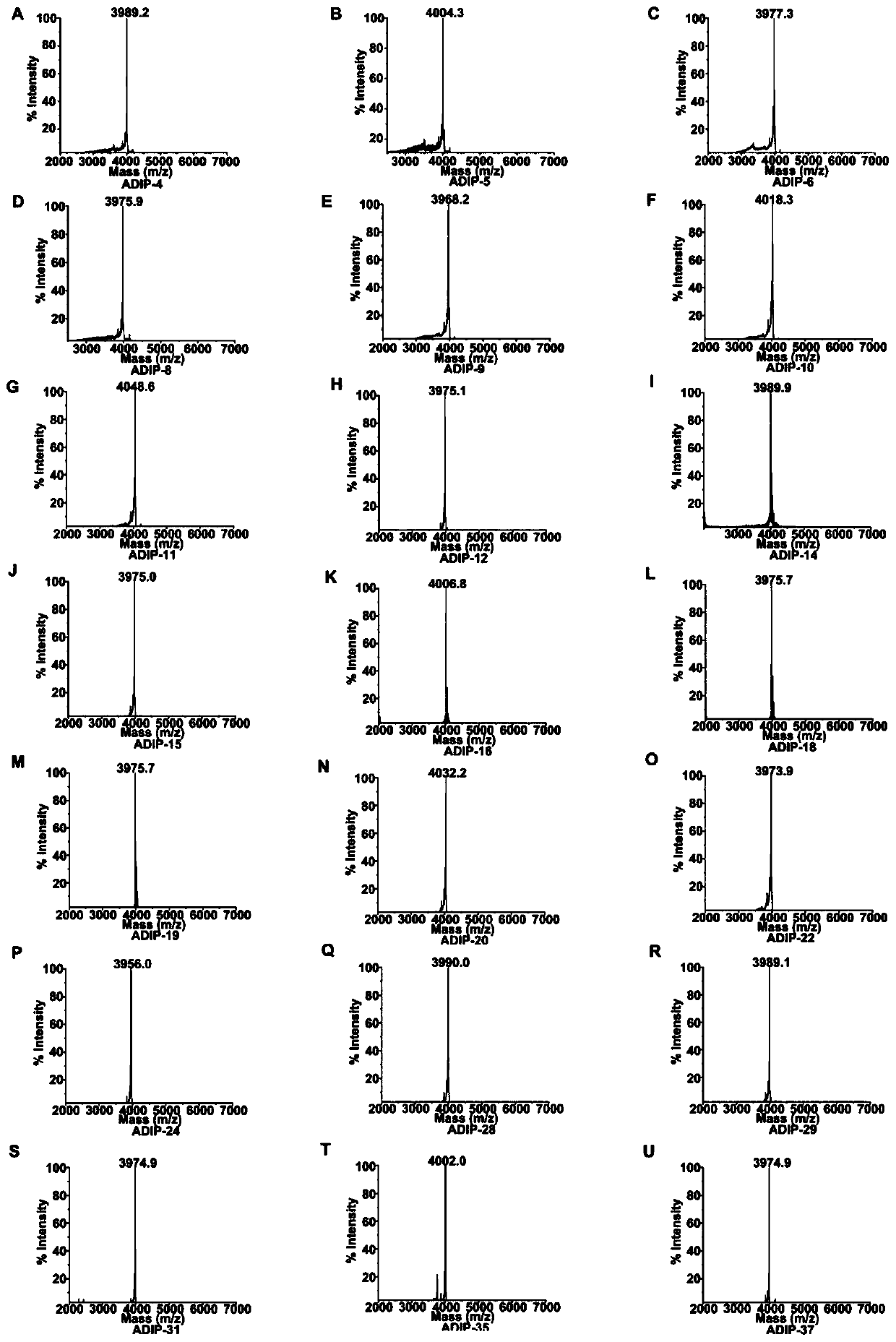 Immunosuppressive polypeptide designed by acidic amino acid scanning method and application thereof