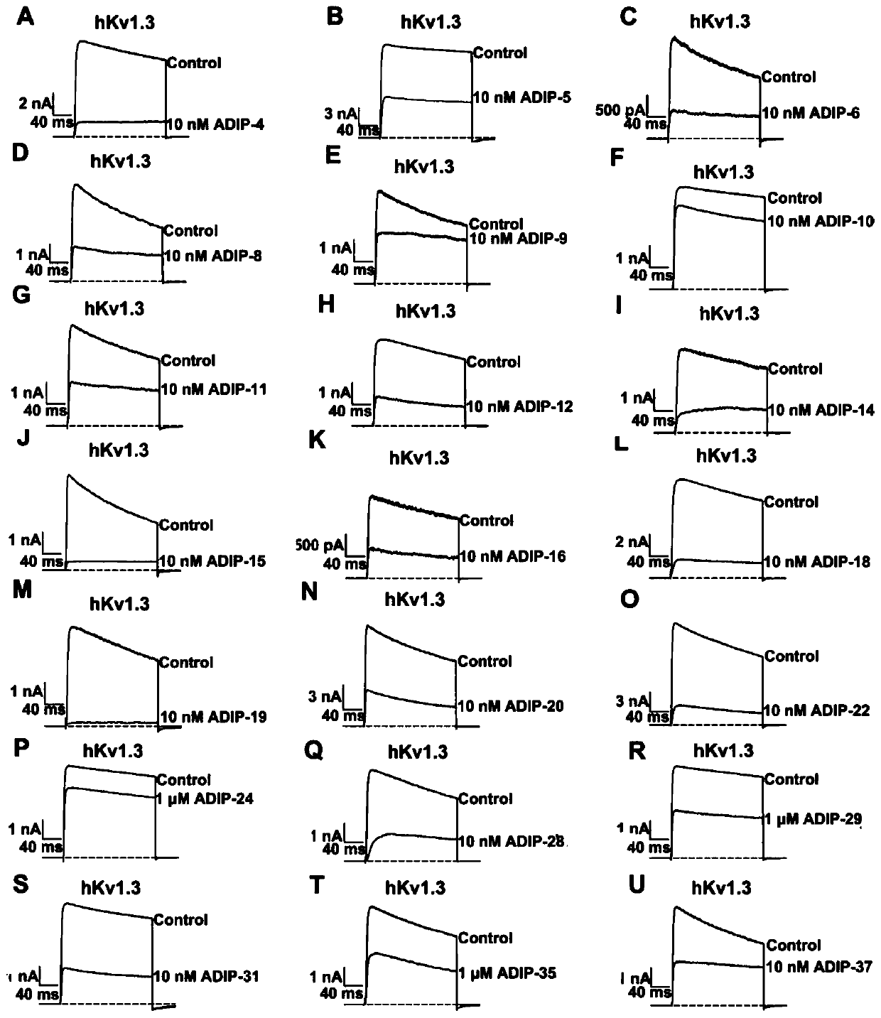 Immunosuppressive polypeptide designed by acidic amino acid scanning method and application thereof