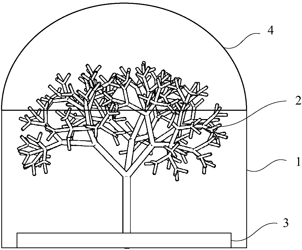 Photoreactor with bionic fractal tree structure, application and cultivation method