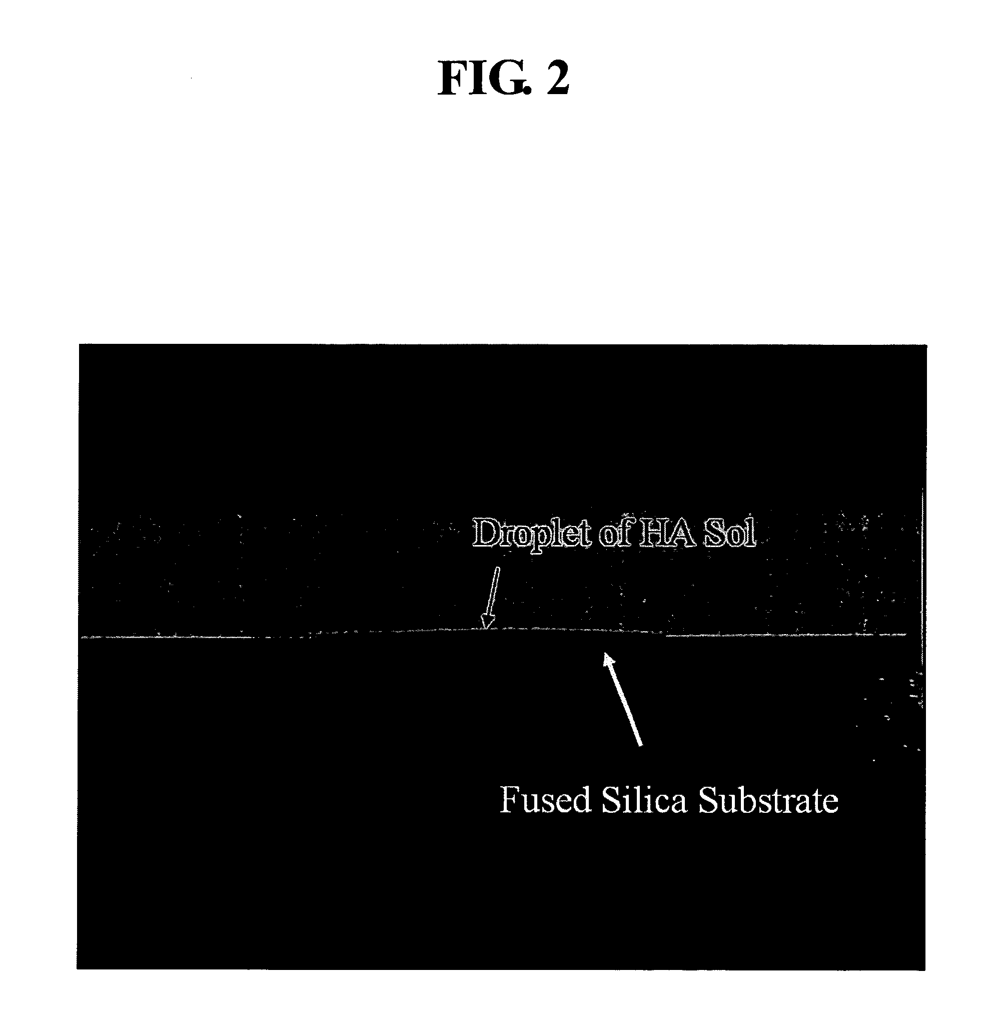 Method for producing polymeric sol of calcium phosphate compound and method for coating the same on a metal implant