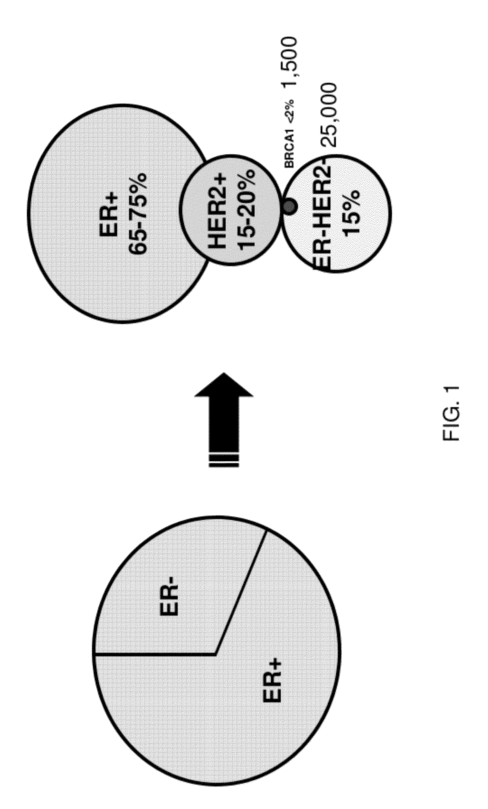 DNA repair or BRCA1-like gene signature