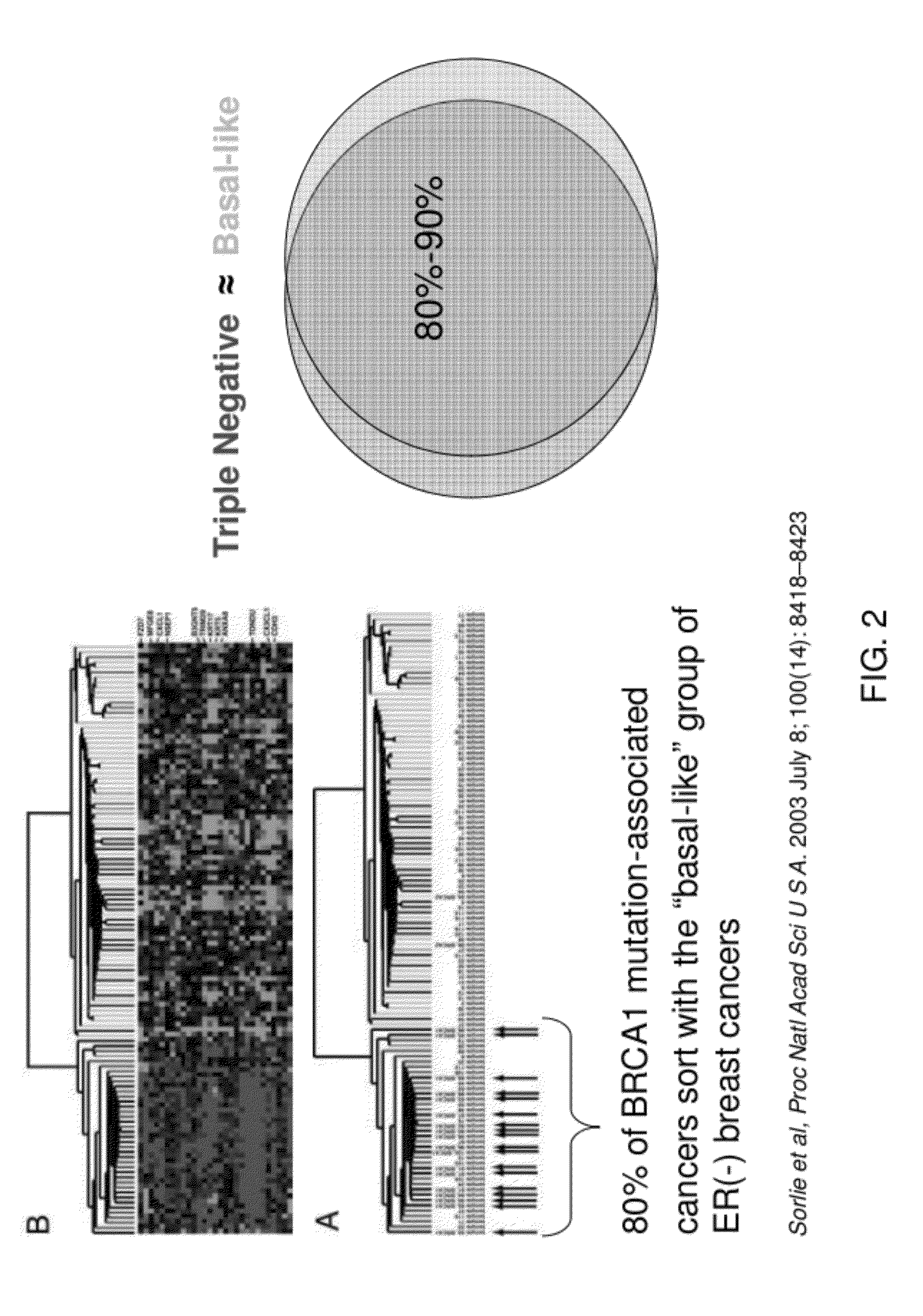 DNA repair or BRCA1-like gene signature