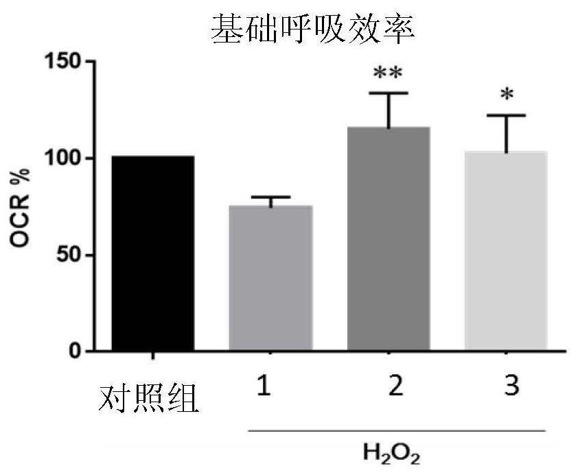 Compositions for anti-aging