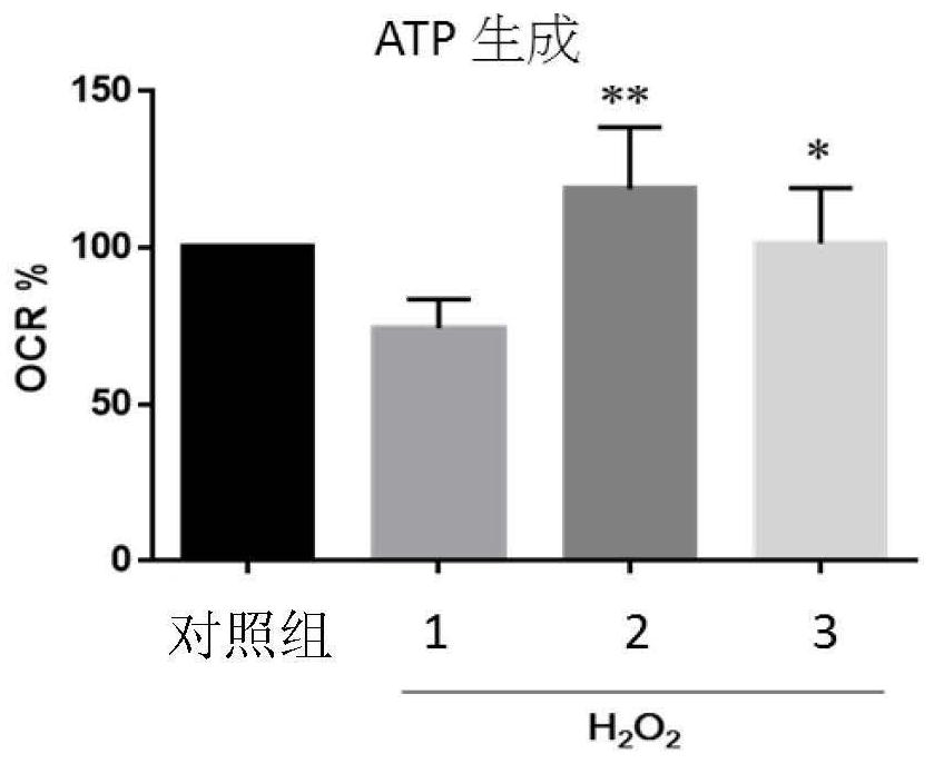 Compositions for anti-aging