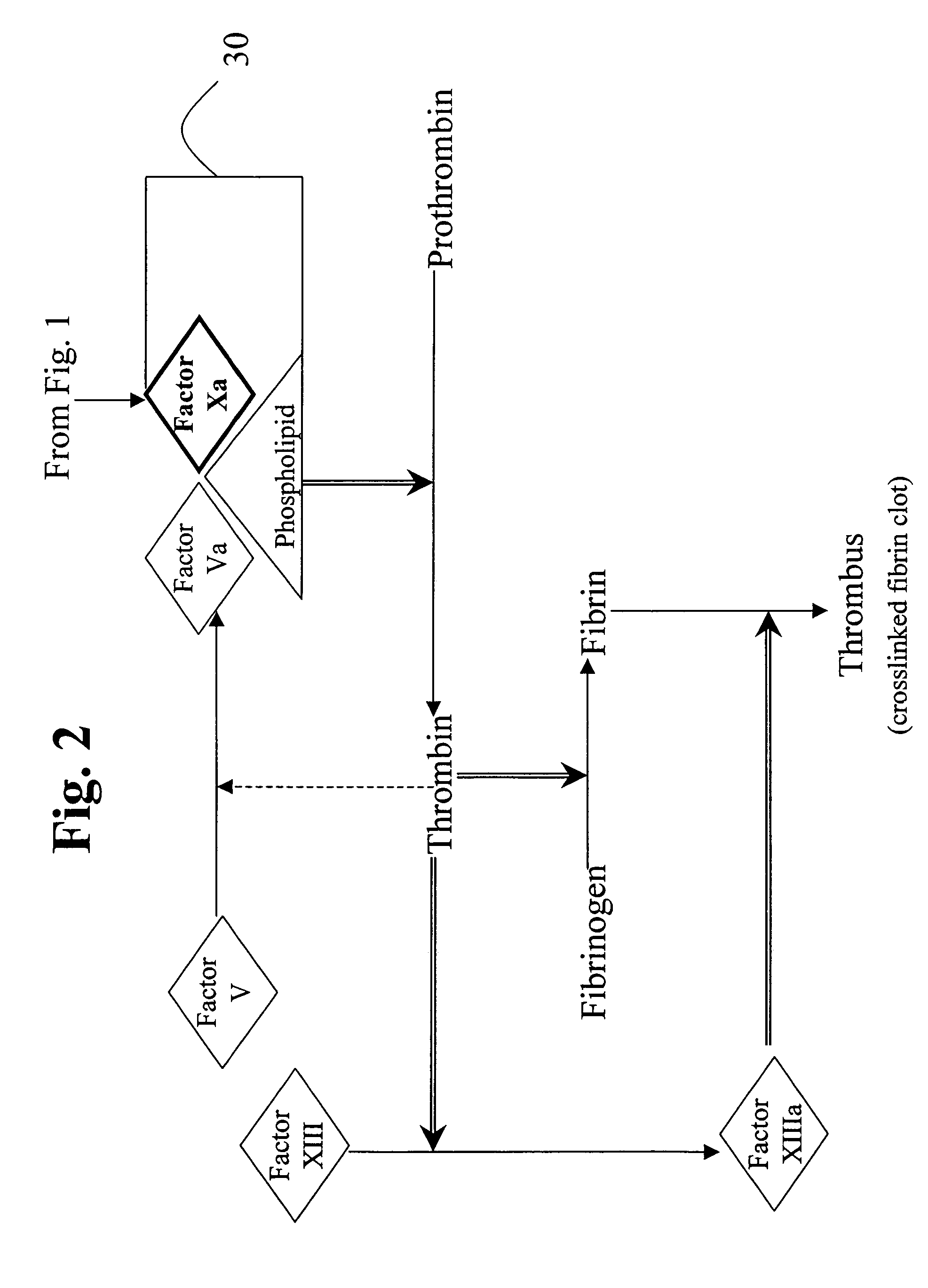 Aryl and heteroaryl compounds, compositions, and methods of use