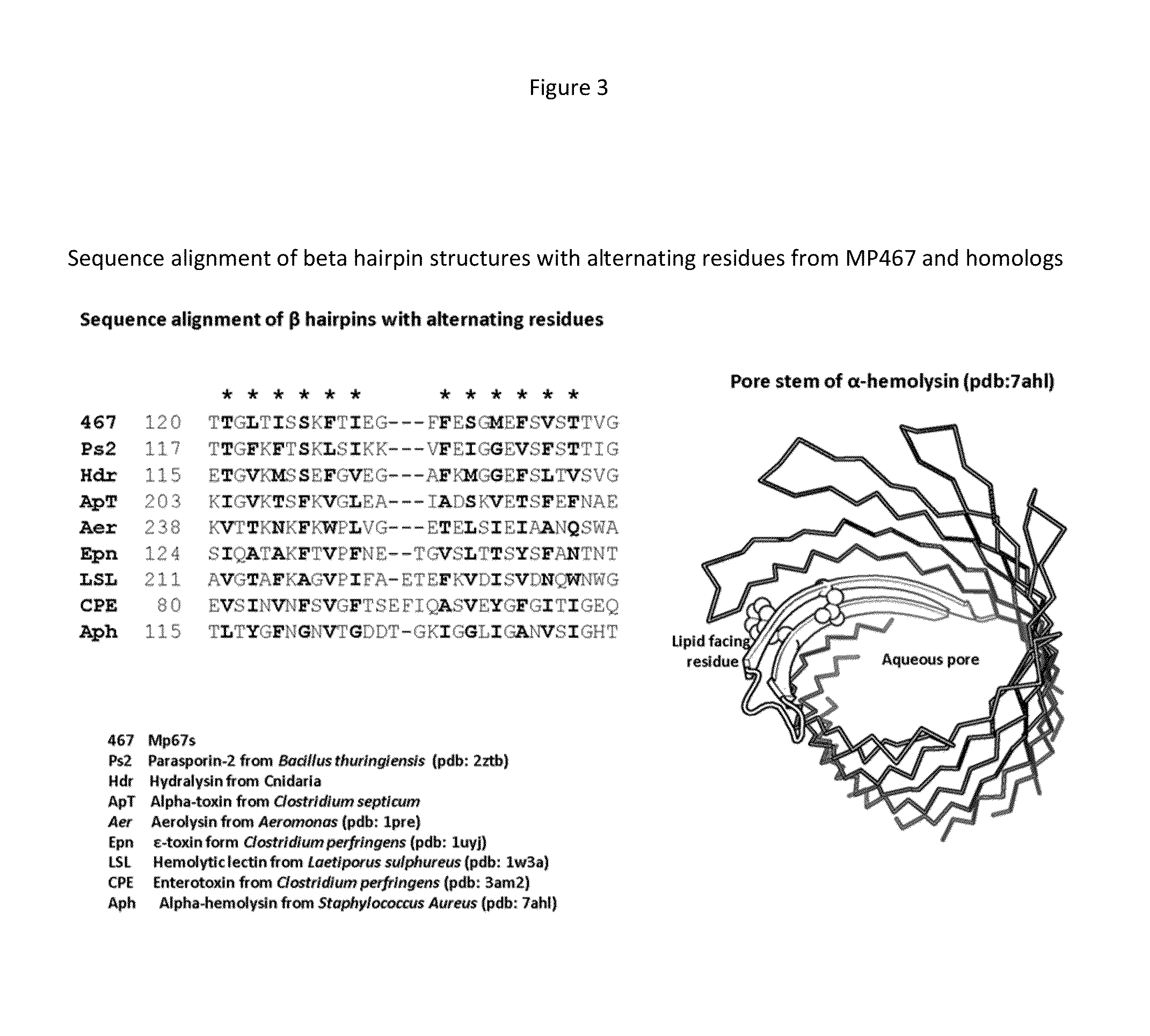 Insecticidal proteins and methods of use