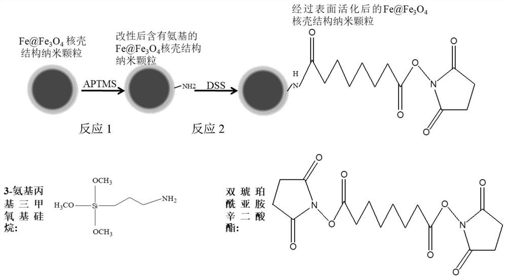 Constructing composite nanomedicine by coupling drug components with nanoparticles, preparation method and application