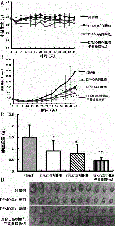 Application of DFMO (difluoromethylomithine) or DFMO and ginger extract combination in preparation of drugs for prevention and clinical treatment of esophagus cancer and liver cancer