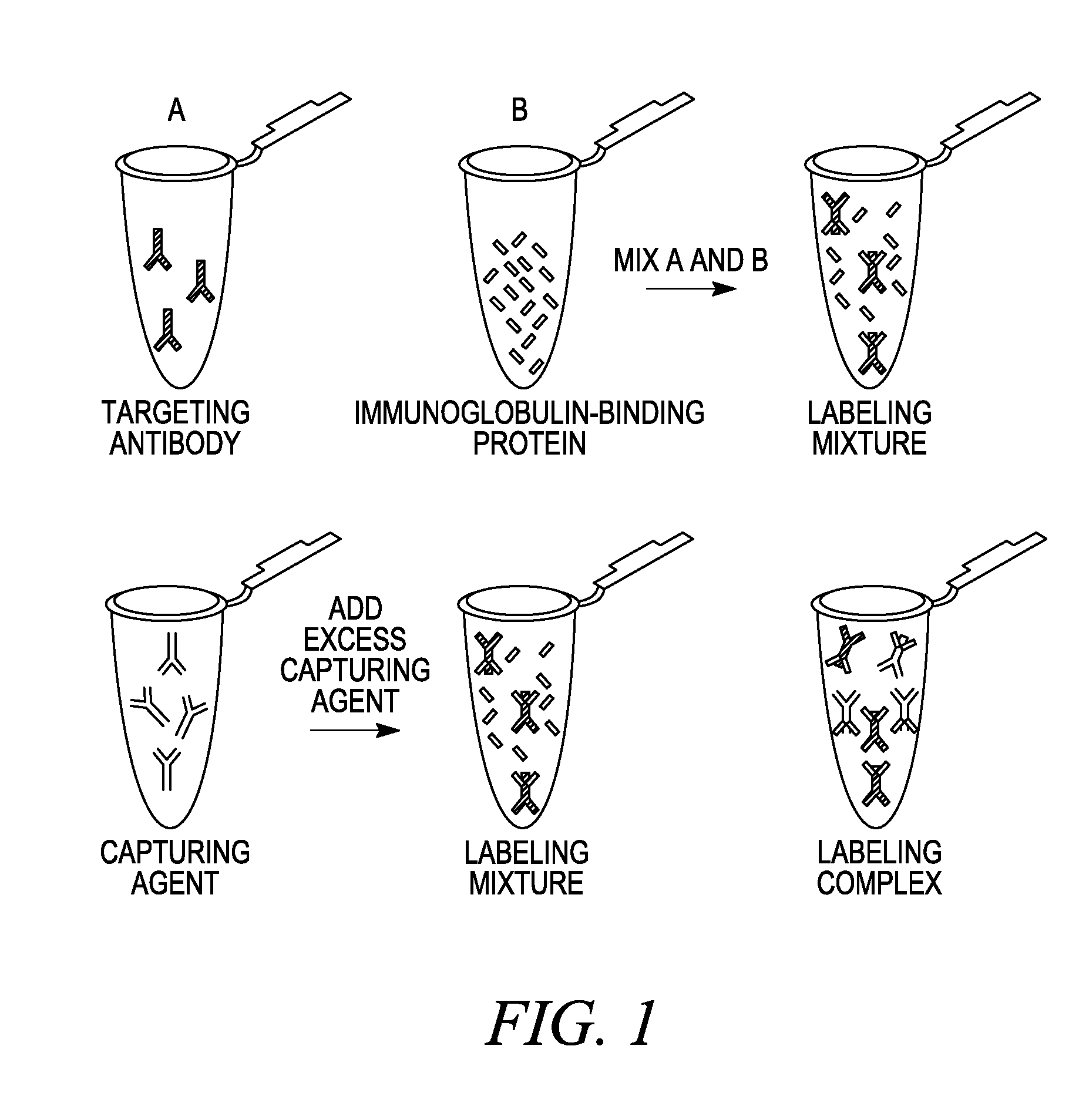 Antibody complexes and methods for immunolabeling