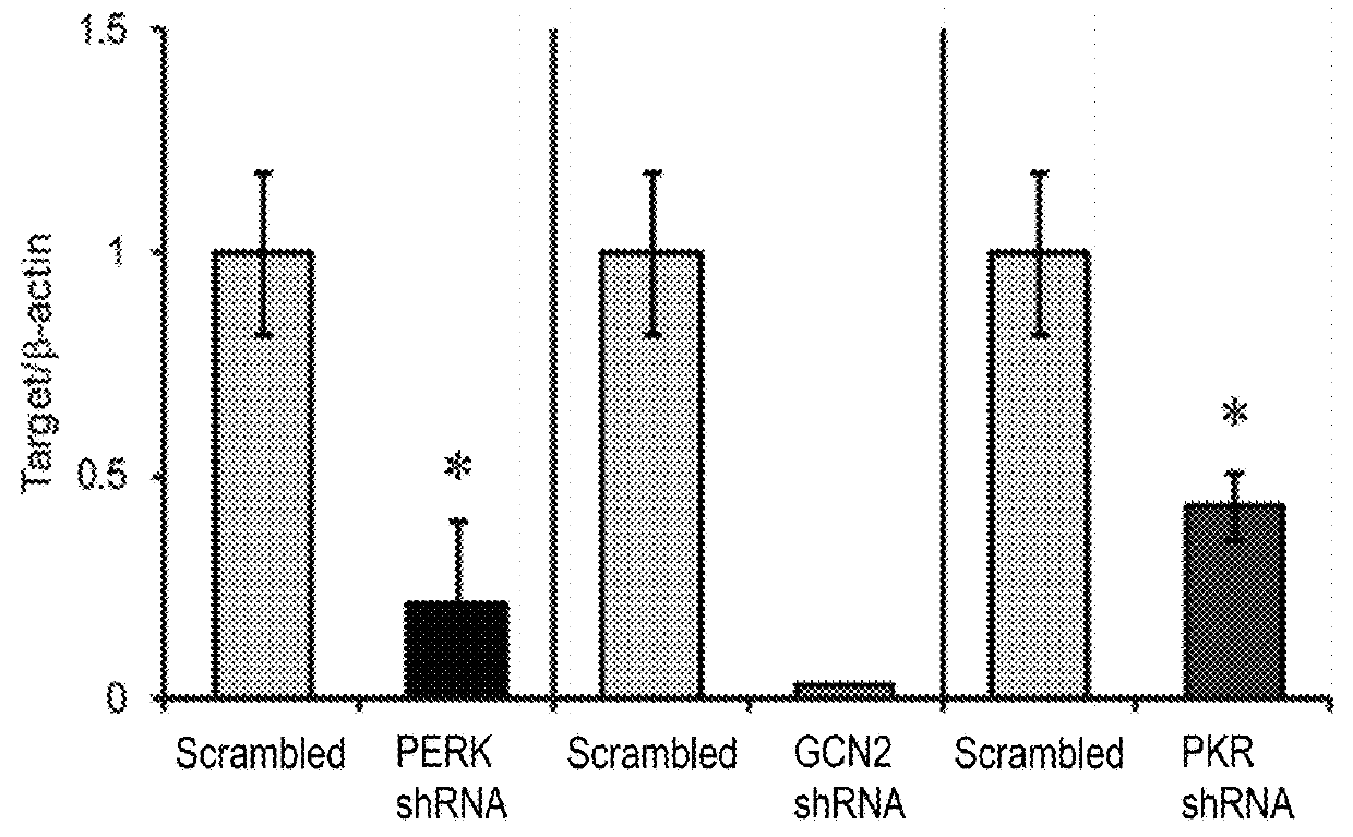 Genetic Or Pharmacological Reduction Of Perk Enhances Cortical- And Hippocampus-Dependent Cognitive Function