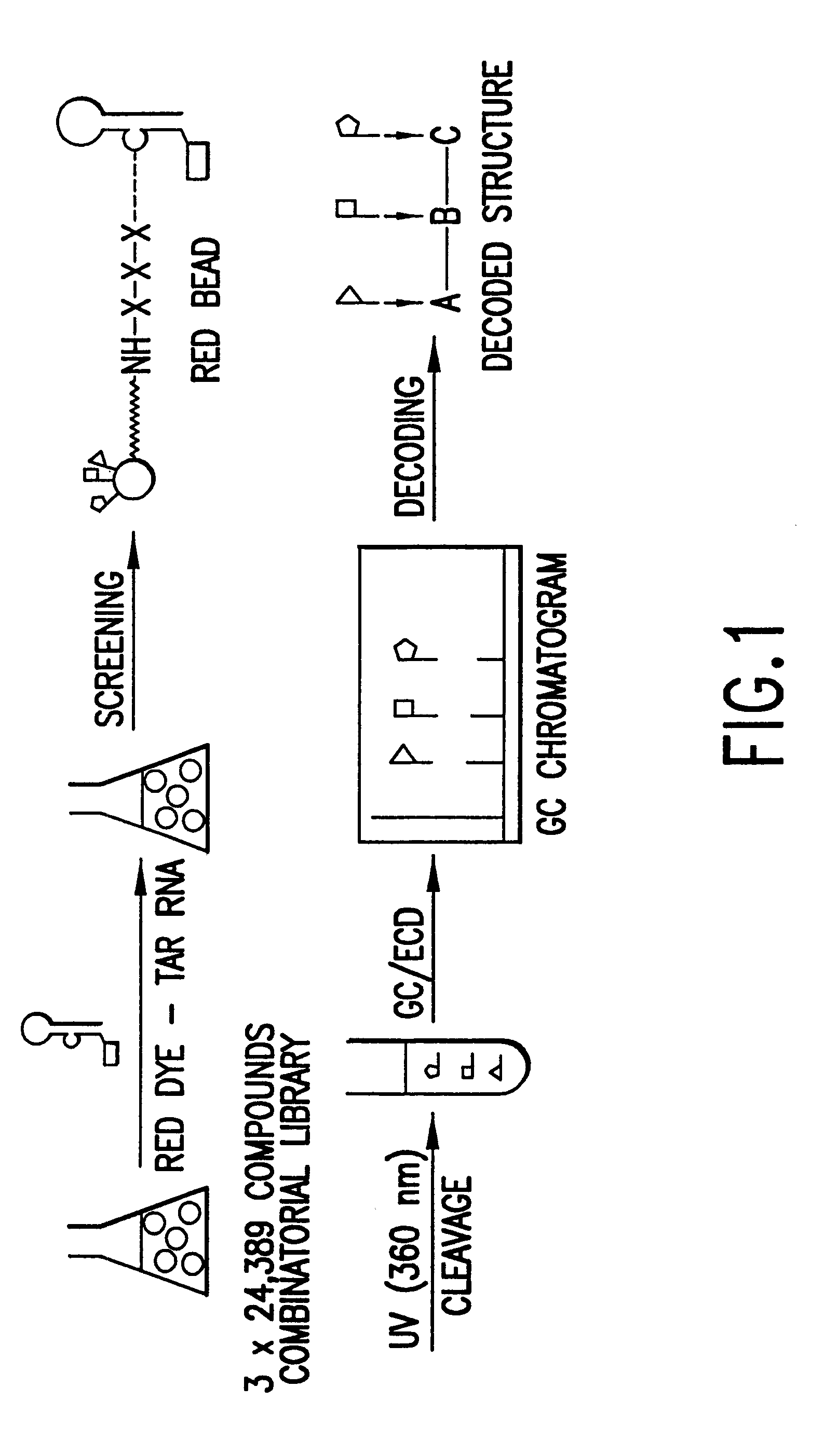 Methods for identifying RNA binding compounds