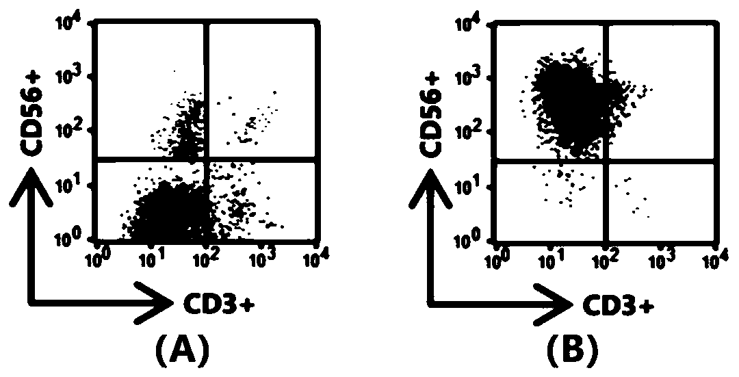 Method for cryopreserving NK cells