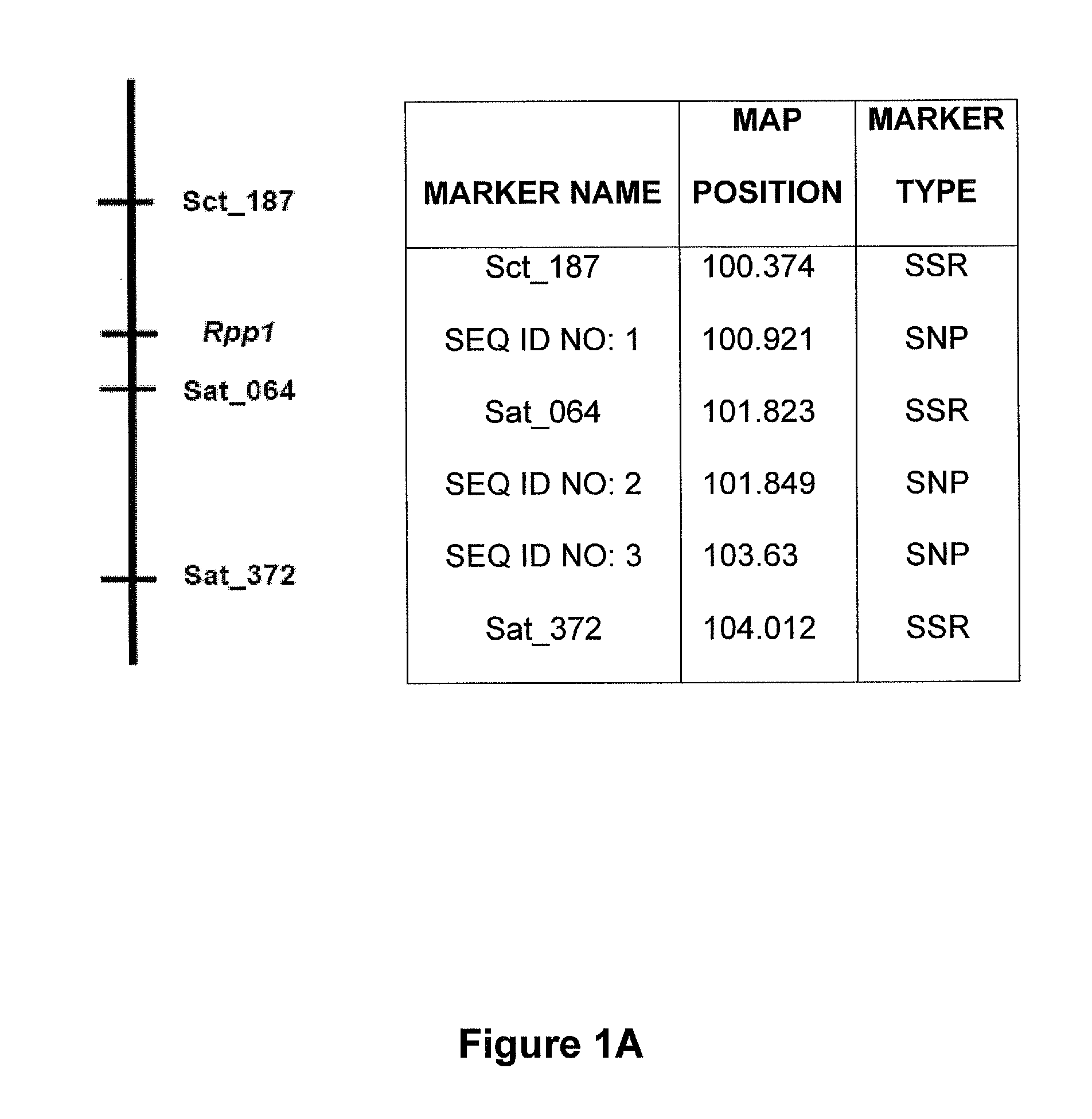 Markers associated with soybean rust resistance and methods of use therefor