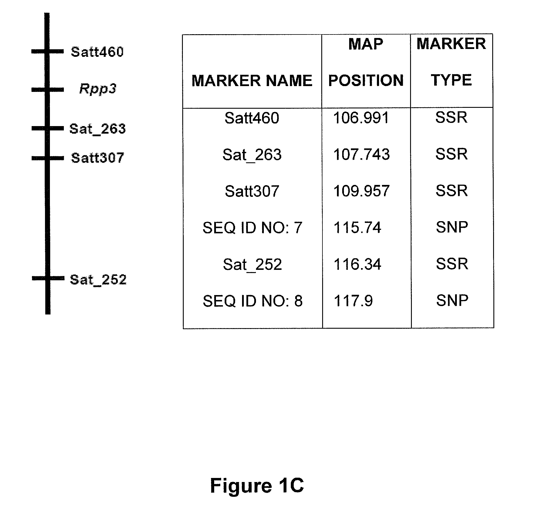 Markers associated with soybean rust resistance and methods of use therefor