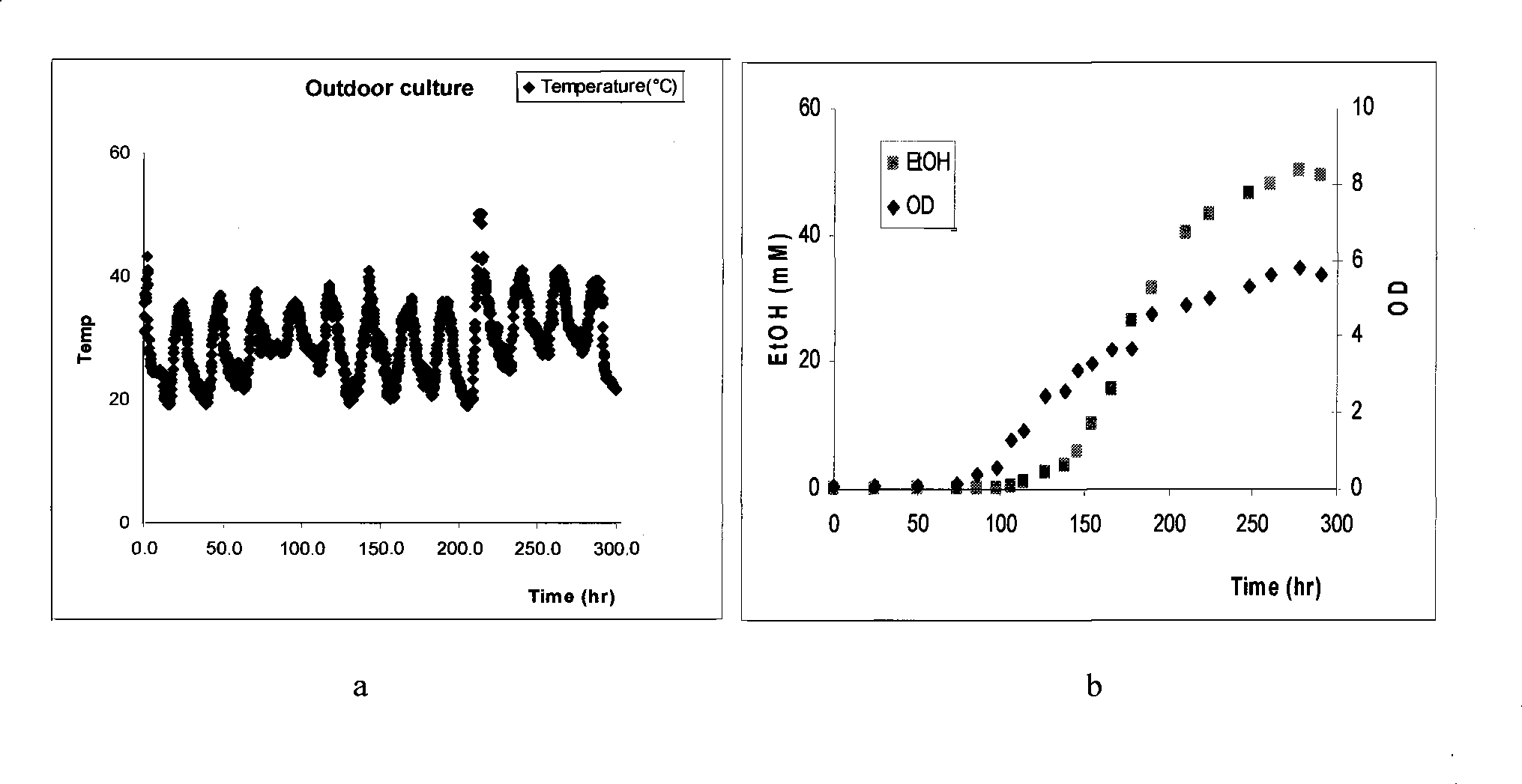 Cyanobacteria modified by gene engineering and use thereof for producing ethanol