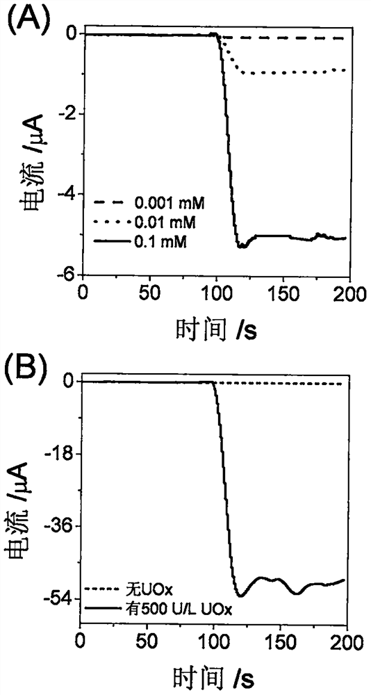 Electrochemical method for detecting uric acid and urate oxidase and application thereof