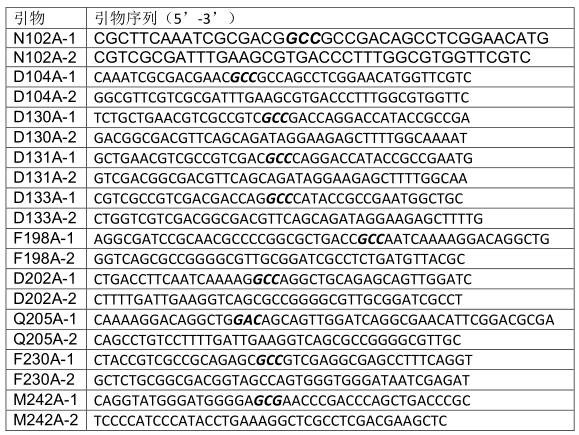 Transcription regulatory protein msir mutant protein of Rhizobium tianshanensis and its application in canavanine biosensor