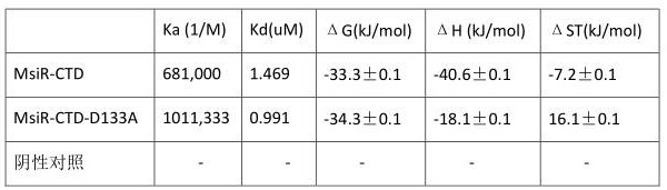 Transcription regulatory protein msir mutant protein of Rhizobium tianshanensis and its application in canavanine biosensor