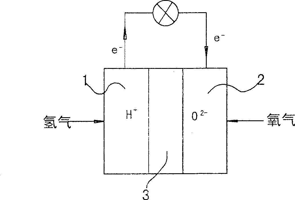 Plasma fuel cell