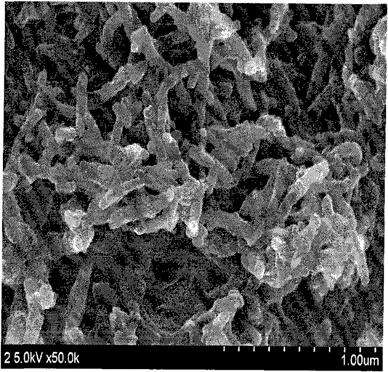 Preparation of polyaniline/polypyrrole composite nano fiber electrode materials with core-shell structure