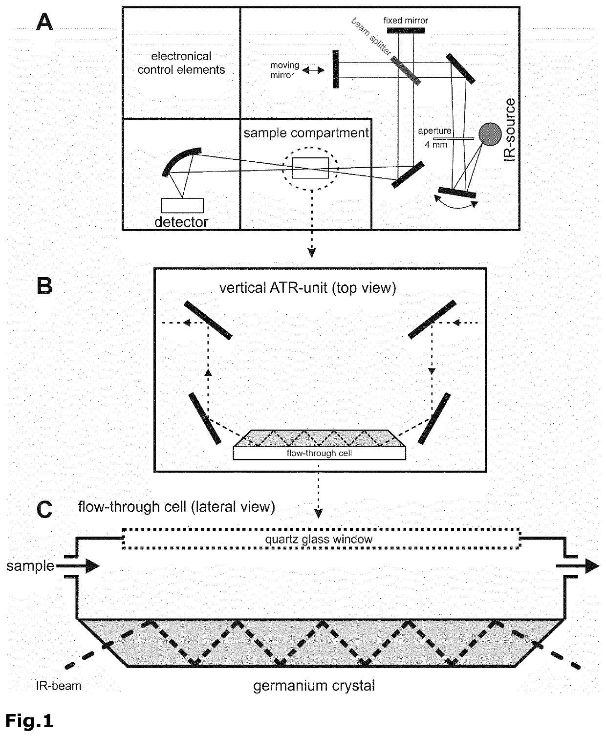 Biosensor for Conformation and Secondary Structure Analysis