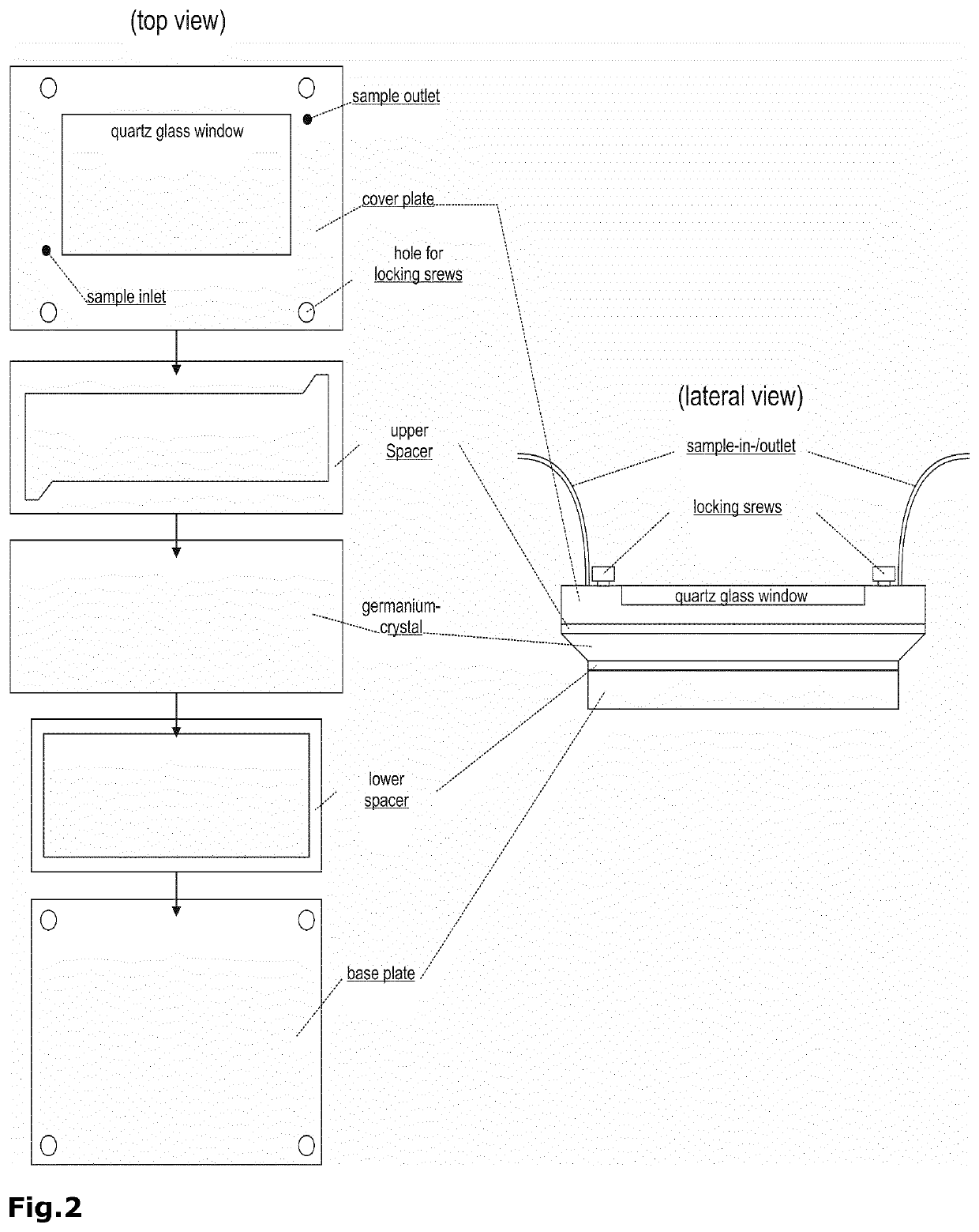 Biosensor for Conformation and Secondary Structure Analysis