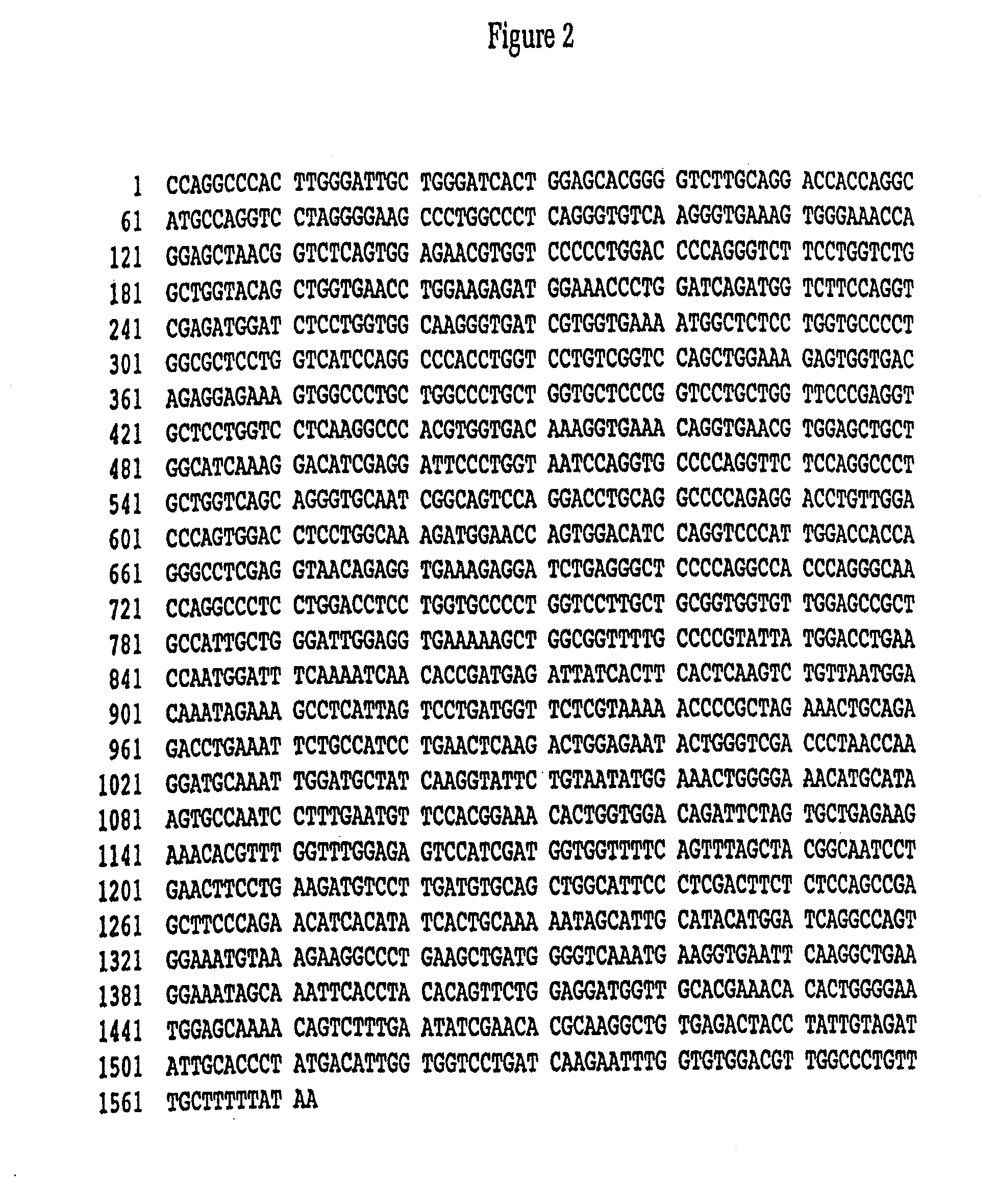 Method for producing, in yeast, a hydroxylated triple helical protein, and yeast host cells useful in said method