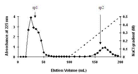 Anti-freeze polypeptide prepared by enzymolysis of cow leather collagen through papain