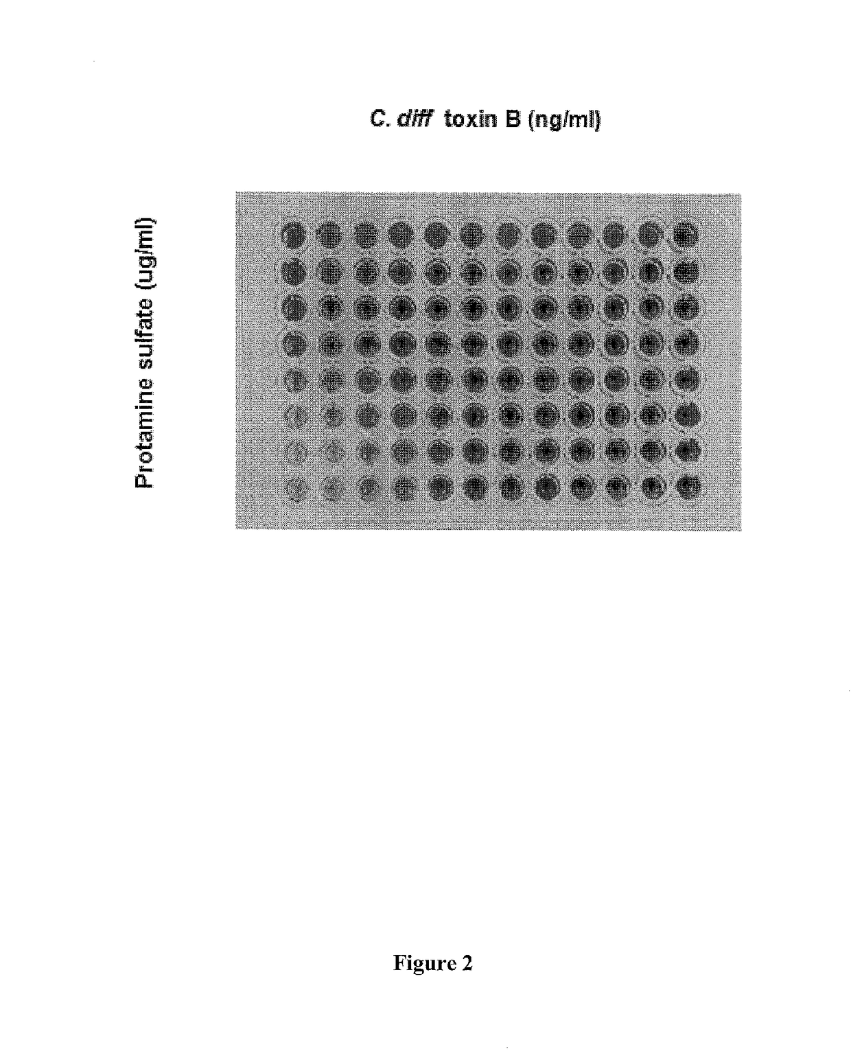 Compositions and methods to inactivate and/or reduce production of microbial toxins