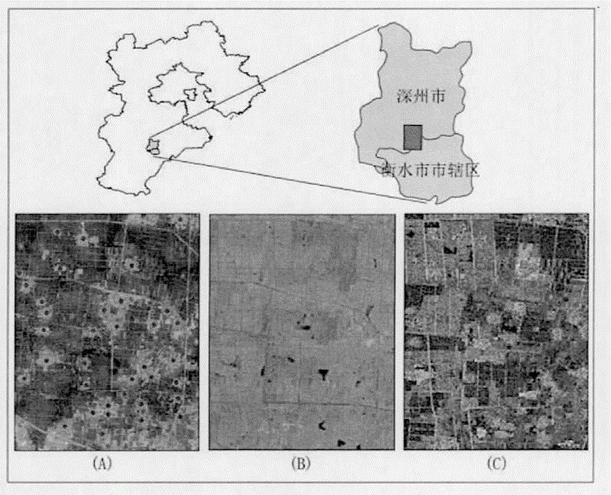 Active and passive remote sensing data-based rural residential land extraction method