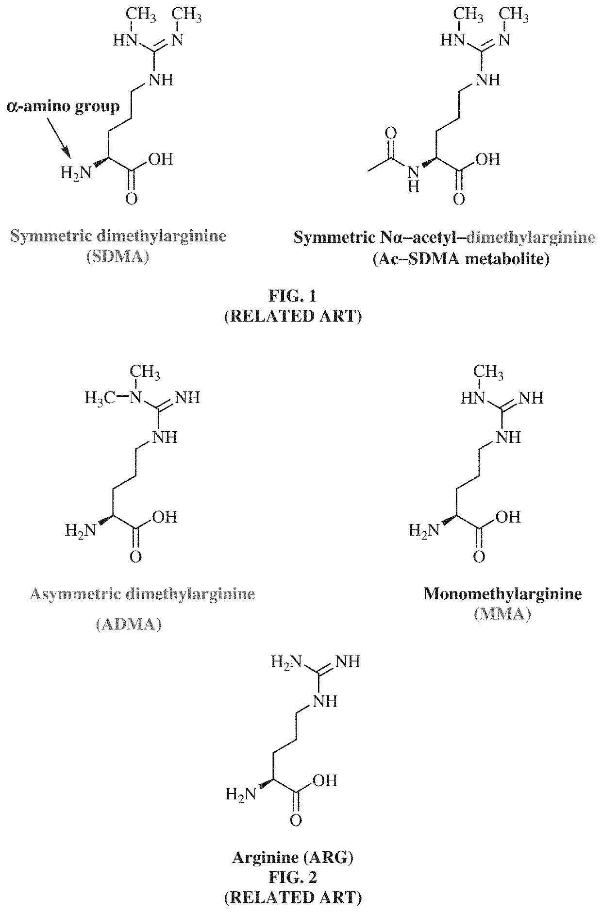 Antibodies to symmetrically dimethylated arginine analytes and use thereof