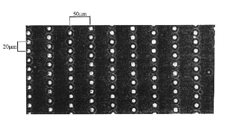 Microfabrication of membranes containing projections and grooves for growing cells