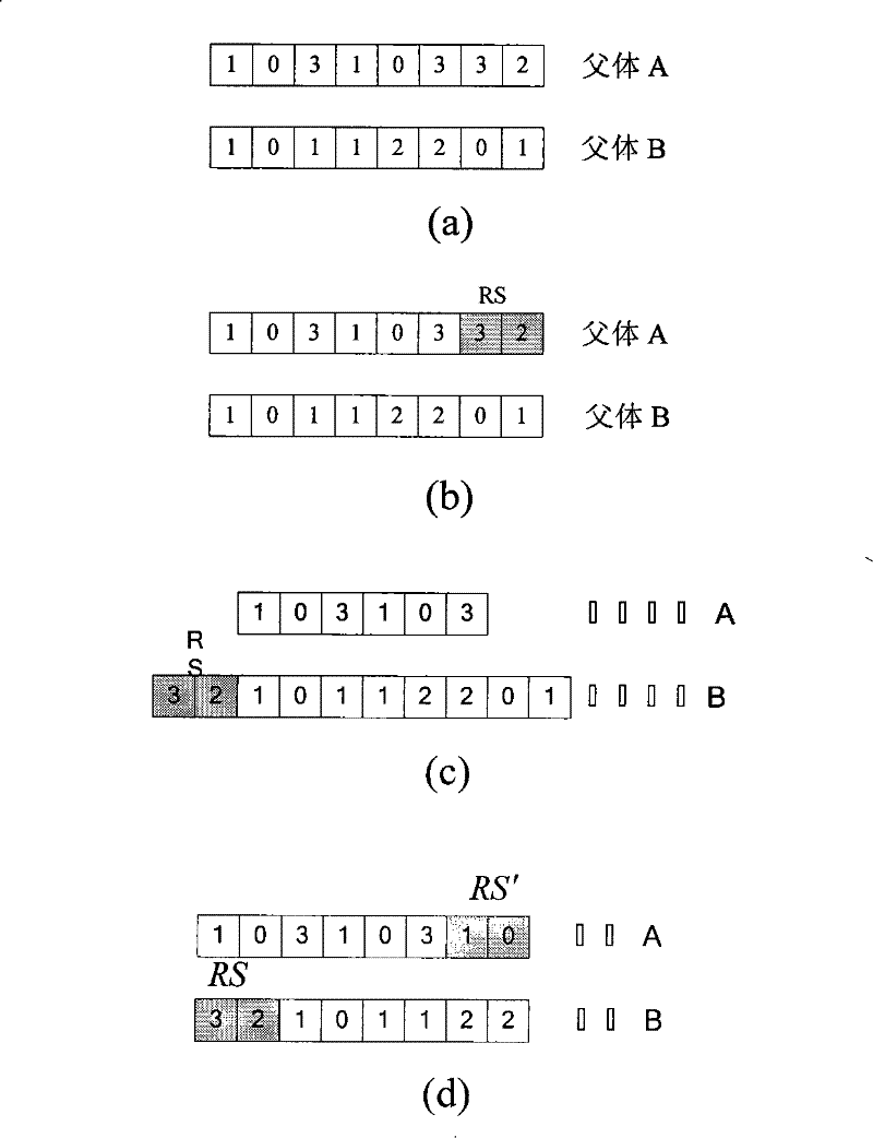 Chemical procedure modelling approach possessing reconstructed operation RNA genetic algorithm